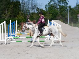 IMG_0484_web